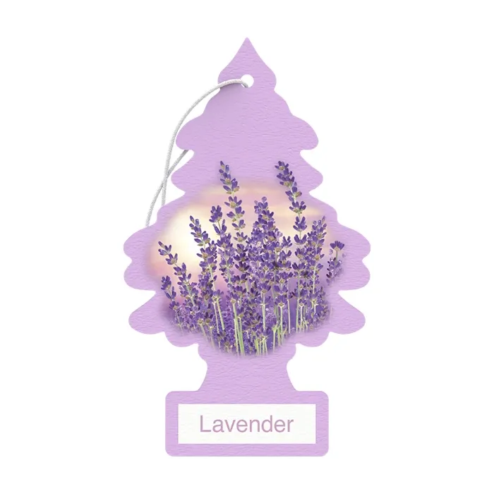 Little Trees Lavender Air Freshener (1pk)