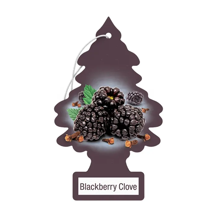 Little Trees Blackberry Clove Air Freshener (1pk)