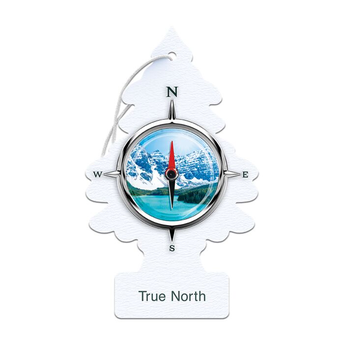 Little Trees True North Air Freshener (3pk)