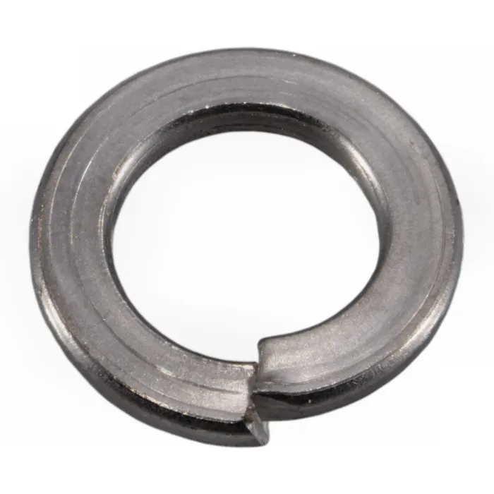 Split Lock Washer (Stainless Steel) 12 mm