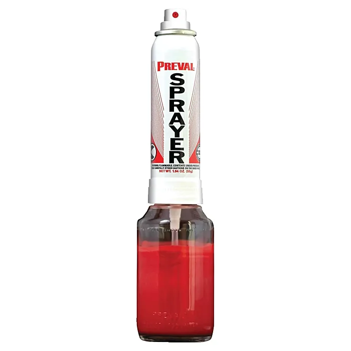 Preval Paint Sprayer System