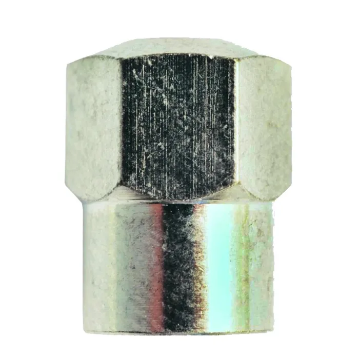 Milton Brass Chrome Plating High Performance Hex Head Valve Cap