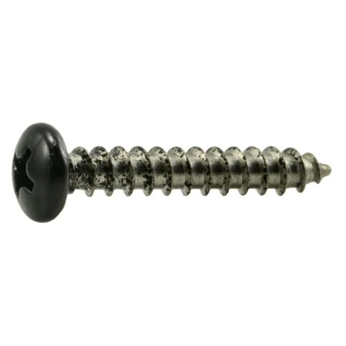 #8 x 1" Phillips Pan Head, Sheet Metal Screw, Stainless Steel, Black 