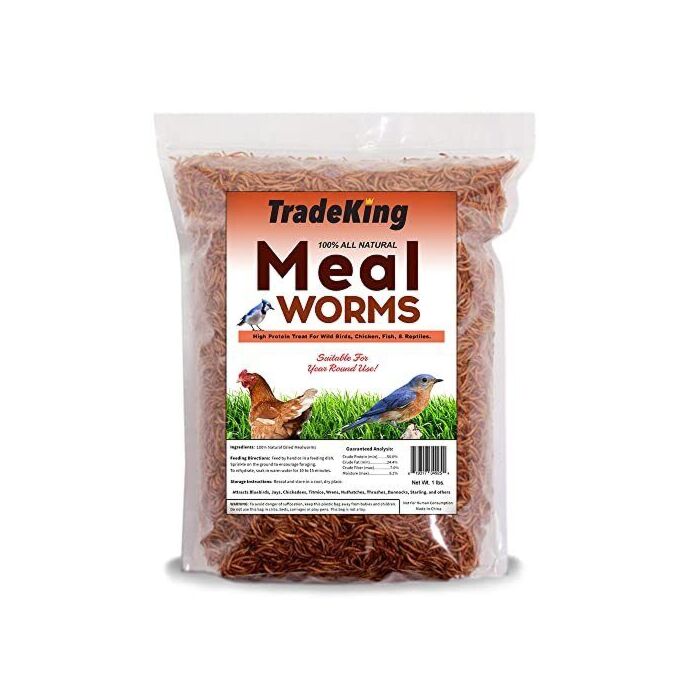 TradeKing MW1 1 lb Pouch Dried Mealworm