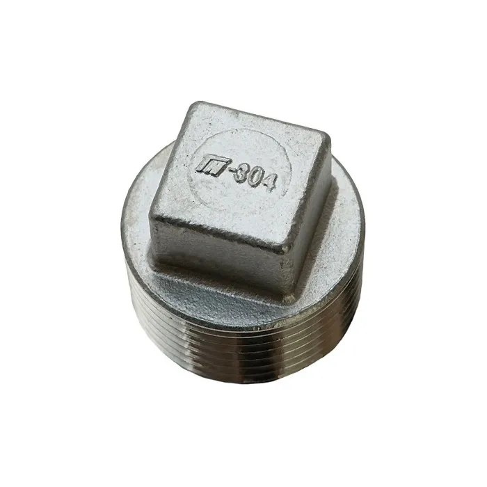 Boshart Industries 3/8" 304SS CORED PLUG ISO4144