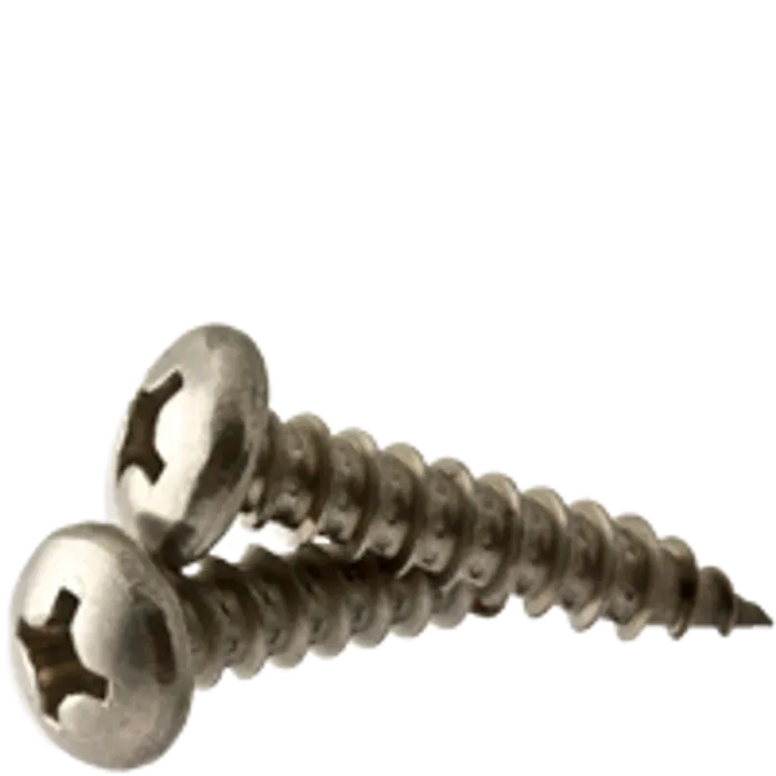 Star Stainless #10 2-1/2 in Phillips SS Self-Tapping Screw