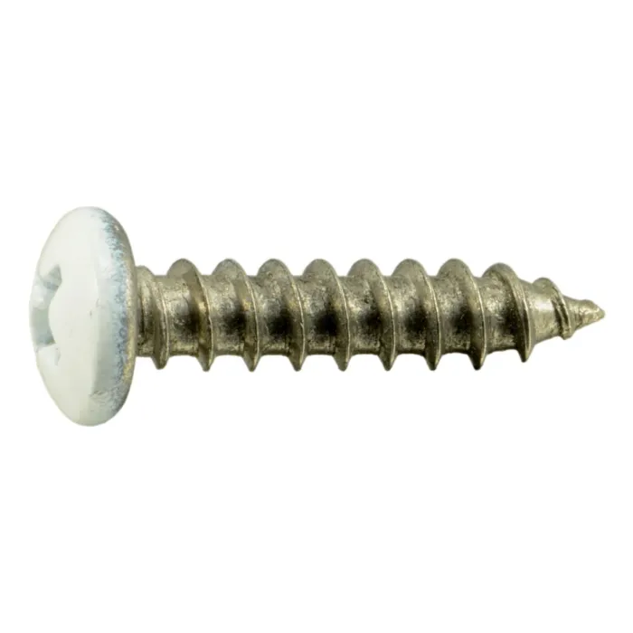 #8 x 3/4" Phillips Pan Head, Sheet Metal Screw, Stainless Steel, White 