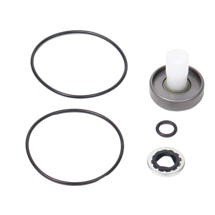 ACE PUMPS Repair Kit for 200 Series Motor with High Pressure Lip Seal