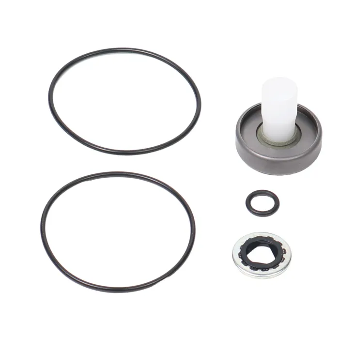 ACE PUMPS Repair Kit for 200 Series Motor with High Pressure Lip Seal