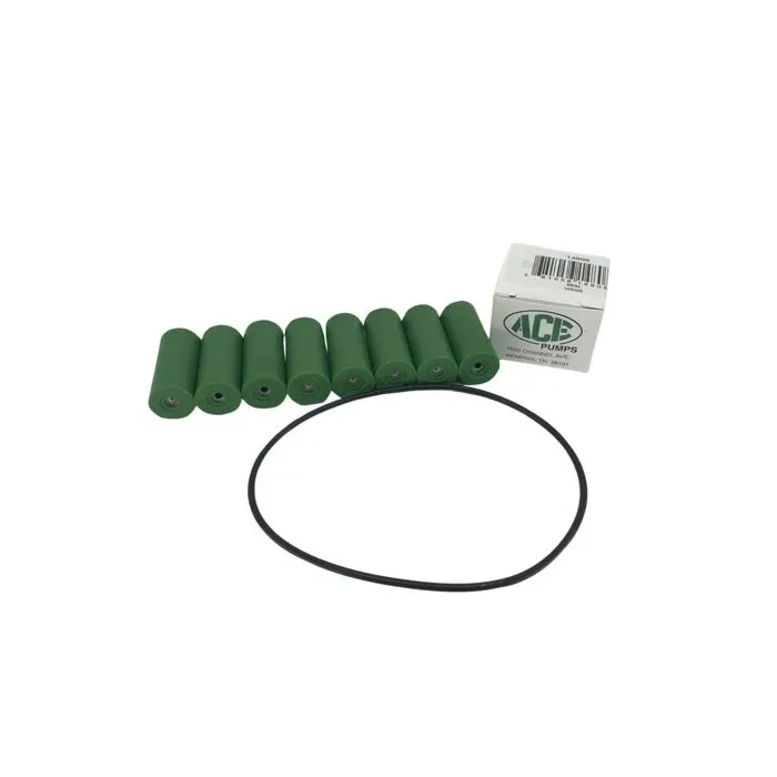 ACE PUMPS 8-Roller Repair Kit