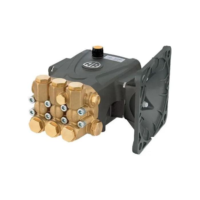 AR 1/2 in 3/8 in 4000 psi horizontal plunger pump