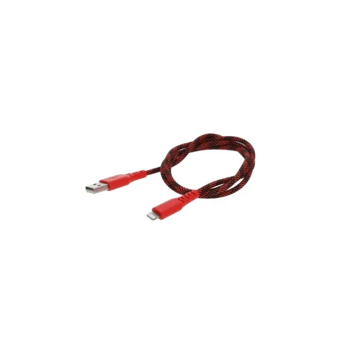 Cable USB - Lightning 3ft
