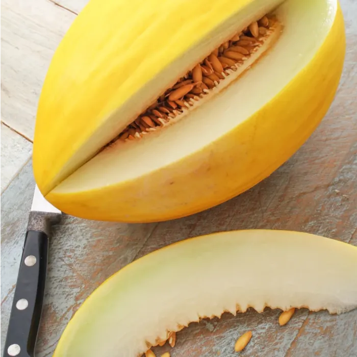 Rohrer Seeds Crenshaw Cantaloupe Seeds