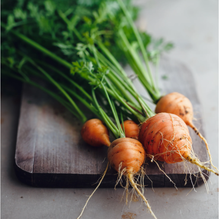 Rohrer Seeds Parisian Carrot Seeds
