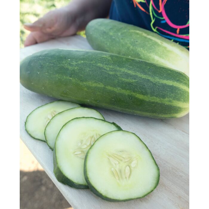 Rohrer Seeds 3-10 1/2 in 3-4 in Marketmore 76 Cucumber Seeds