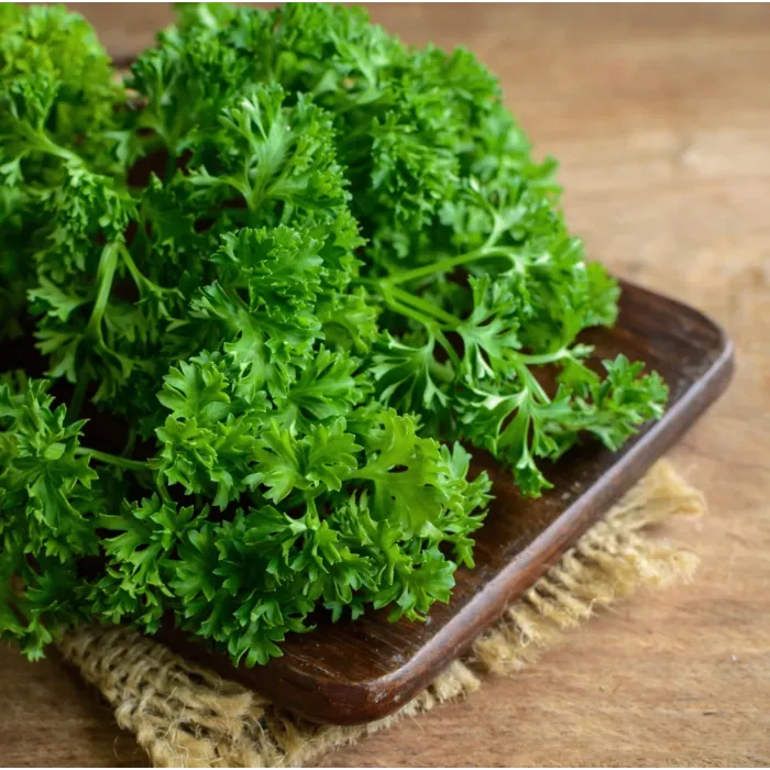 Rohrer Seeds Forest Green Parsley Seeds