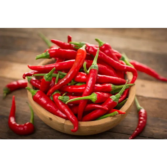 Rohrer Seeds 14-28 1/4 in 6 in Long Red Cayenne Pepper Seeds