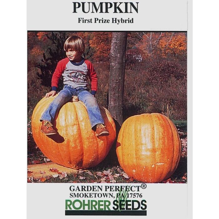 Rohrer Seeds 7-10 1 in 18-72 in First Prize Pumpkin Seeds
