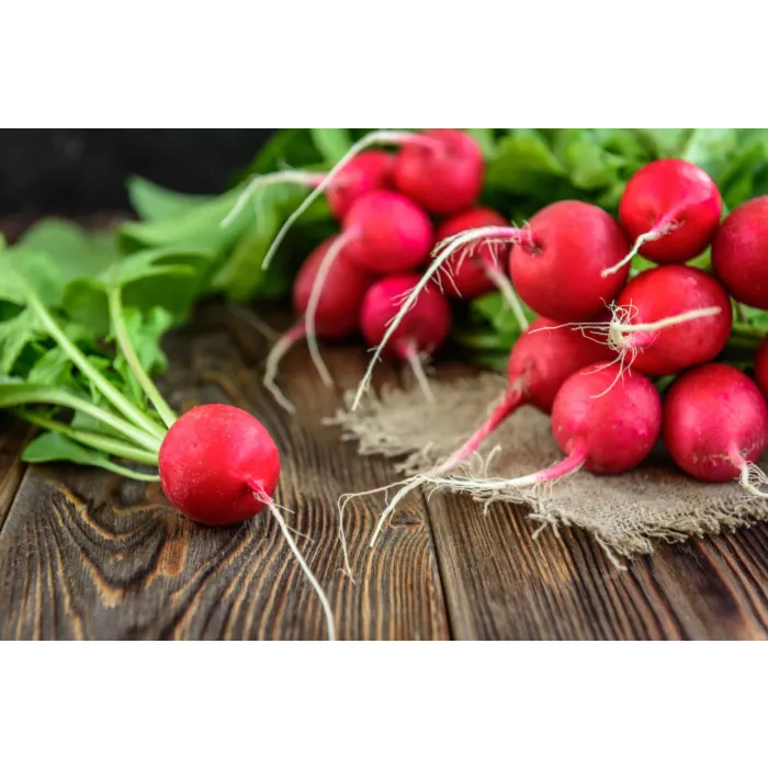 Rohrer Seeds 3-10 1/2 in 1 in Cherry Belle Radish Seeds