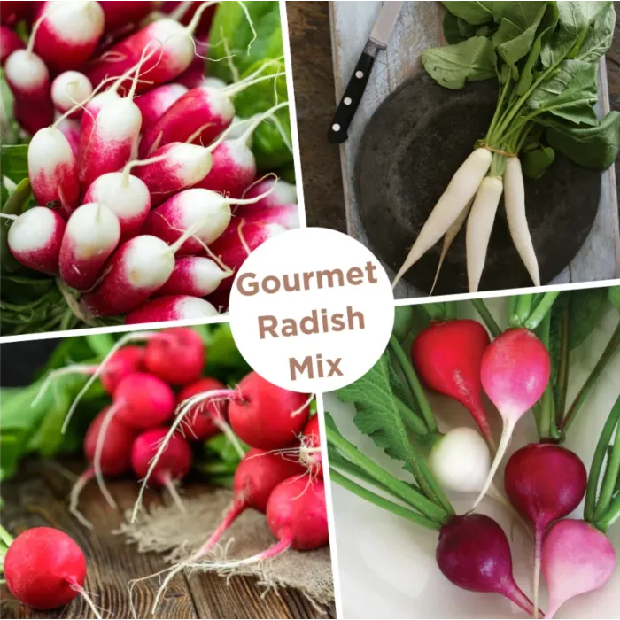 Rohrer Seeds Radish Gourmet Seed Mixture