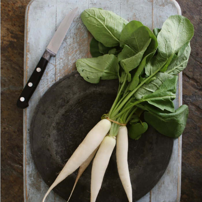 Rohrer Seeds White Icicle Radish Seeds