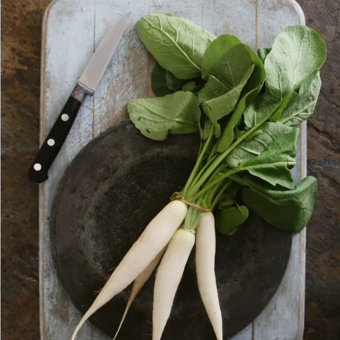 Rohrer Seeds White Icicle Radish Seeds