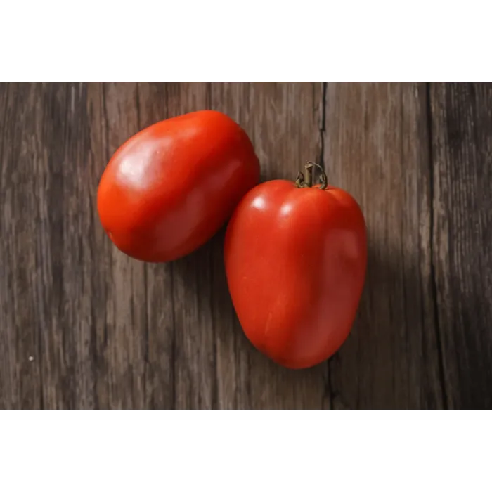 Rohrer Seeds Indeterminate 7-10 1/4 in Amish Paste Tomato Seeds