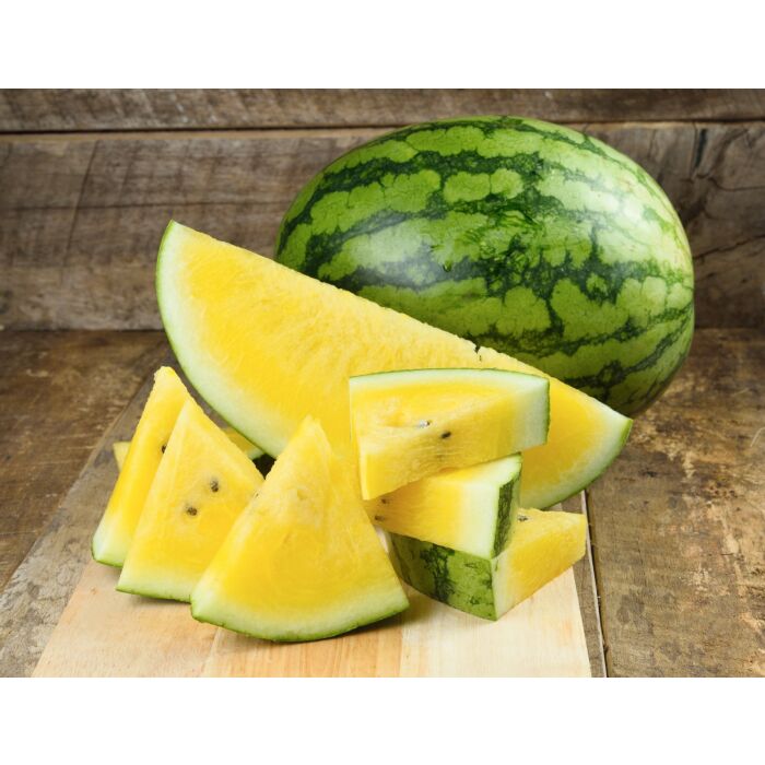 Rohrer Seeds 7-10 1 in 12-18 in Yellow Baby Doll Watermelon Seeds