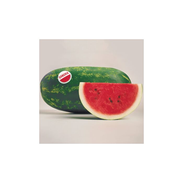 Rohrer Seeds 7-10 1 in 60-84 in Sangria Watermelon Seeds