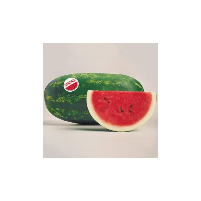 Rohrer Seeds 7-10 1 in 60-84 in Sangria Watermelon Seeds