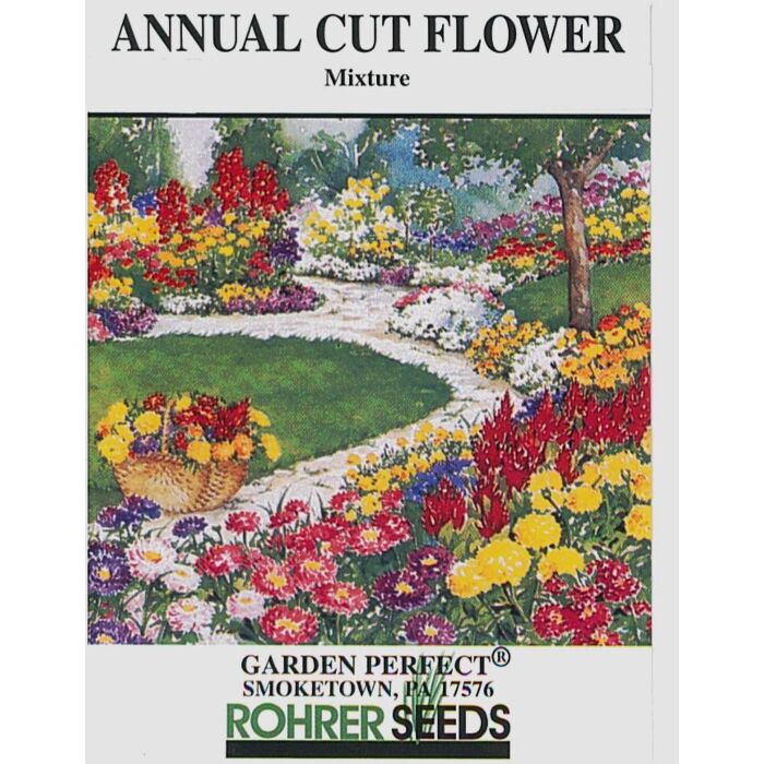 Rohrer Seeds Lobularia Maritima Dwarf 7-14 Scatter and Lightly Cover Annual Cut Mixed Flower Seeds