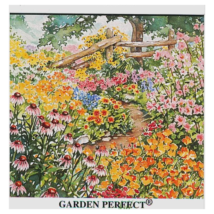 Rohrer Seeds Northeastern Wildflower Seed Mix