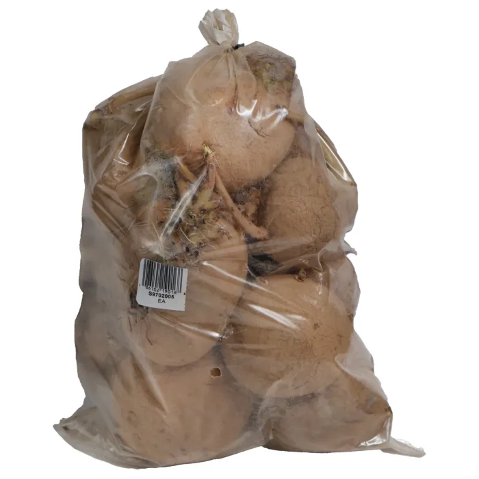 Rohrer Seeds 5 lb Eva Seed Potatoes