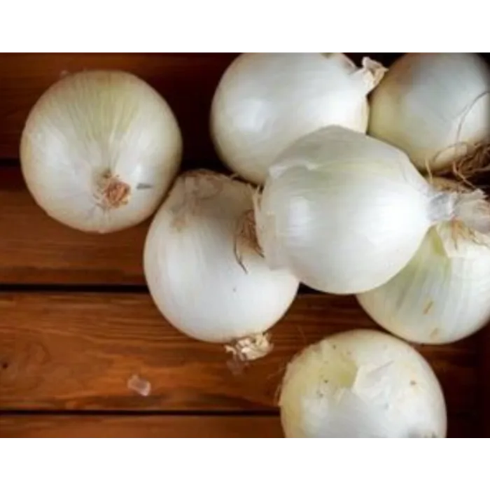 Rohrer Seeds White Sweet Spanish Onion Seeds - 1 lb