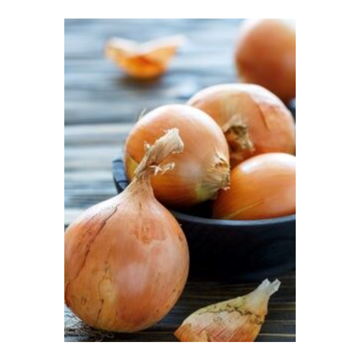 Rohrer Seeds Yellow Sweet Spanish Onion Seeds - 1 lb