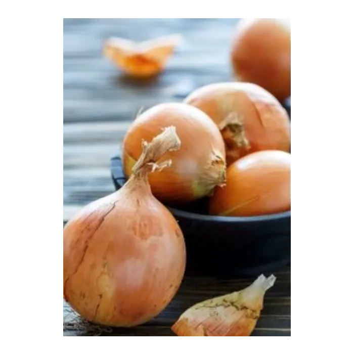 Rohrer Seeds Yellow Sweet Spanish Onion Seeds - 1 lb
