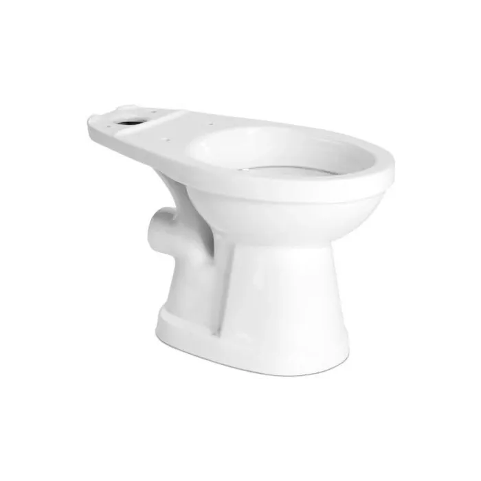 Saniflo 1.28 gal/Flush 3 in Vitreous China 2-Piece Elongated Toilet Bowl