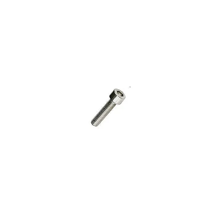 Brighton-Best 5/16 in-18 1/2 in 18-8 SS Socket Cap Screw