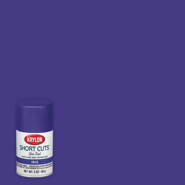 Krylon Short Cuts 3 Oz. High-Gloss Enamel Spray Paint, Iris