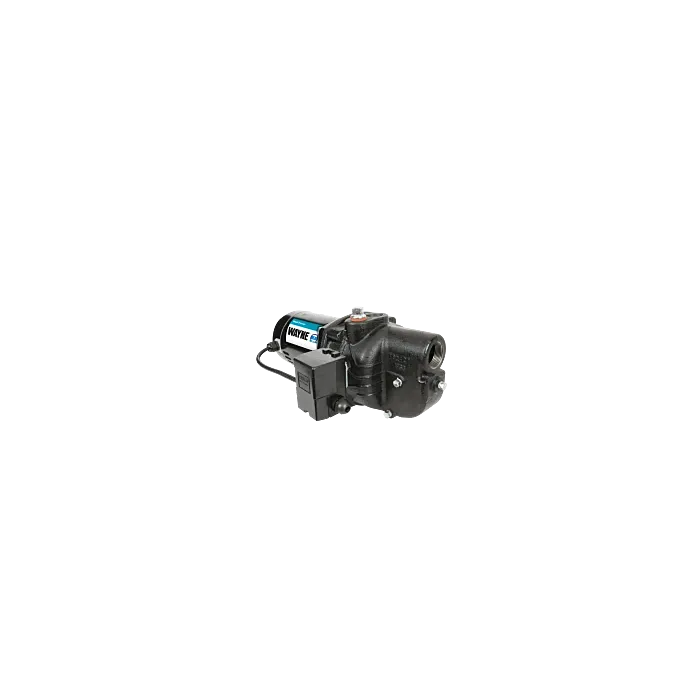 WAYNE Water Systems 1-1/4 in 1-1/2 in NPT 513 gph Shallow Well Jet Pump