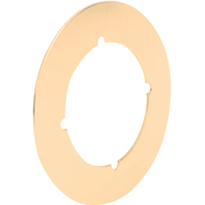 Defender Security Polished Brass Cover Plate