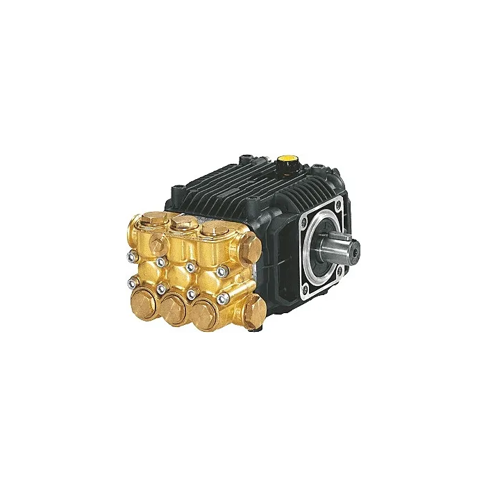 AR 1/2 in 3/8 in 2000 psi Commercial Pump