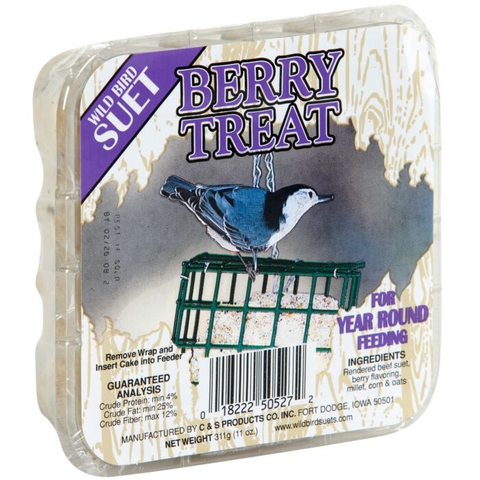 C&S Berry Treat Wild Bird Suet - 11 oz