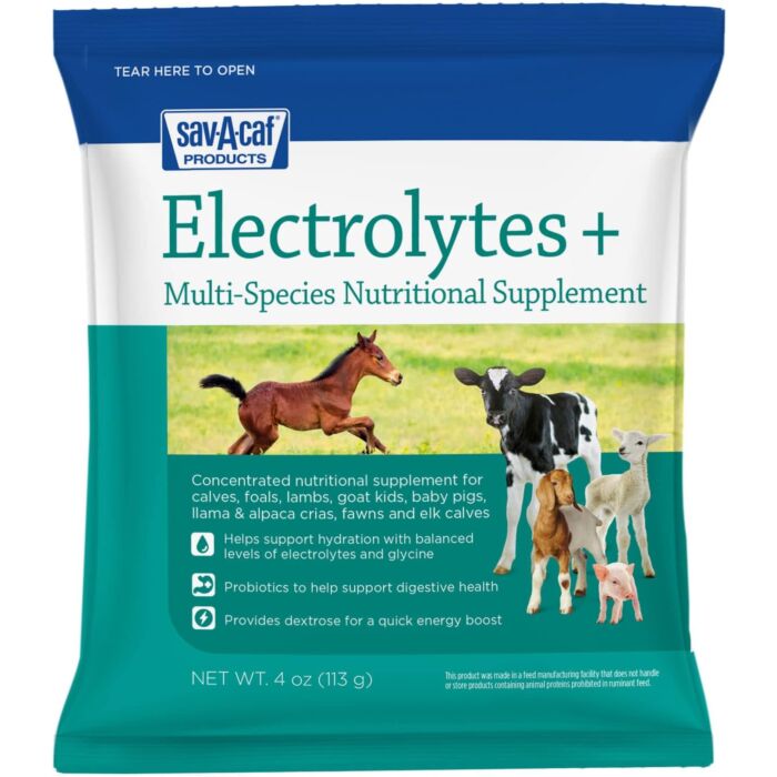 Sav-A-Caf Electrolytes Plus Powder Supplement - 4 oz