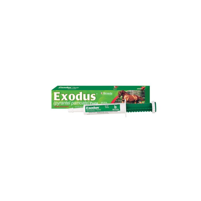 RJ Matthews 0.833 oz W/W Pyrantel Pamoate Apple Exodus Paste Horse Dewormer