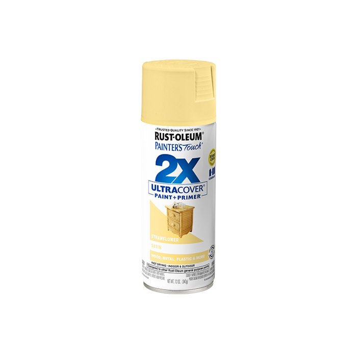 Rust-Oleum Painter's Touch® 2X Ultra Cover® Spray Paint (Satin