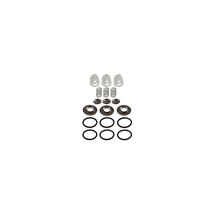 Cat Pumps Pressure Washer Valve Kit