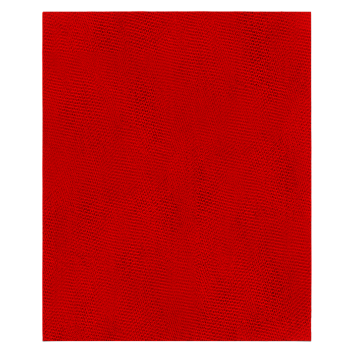 9 in. x 11 in. 120-Grit (Medium) SandNET™ Universal Reusable Sanding Sheets (5-Piece)
