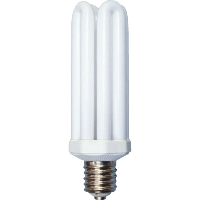 モルダー DHK-300 Woods 300W Equivalent Daylight Mogul Base 4U Security