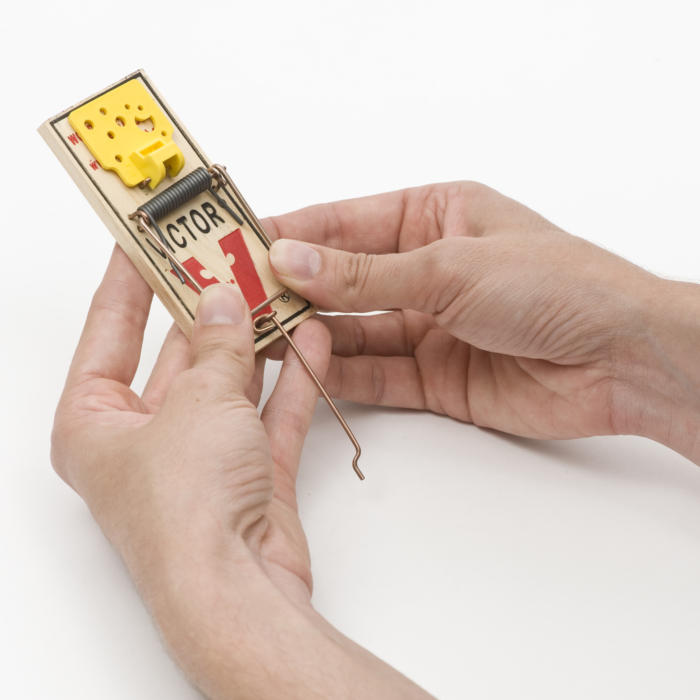 Victor Wide Pedal Mouse Trap - 2 Pack